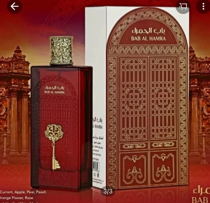Ard_Al_Zaafaran_Parfum_Bab_Al_Hamra_Eau_de_Parfum_100_ml.webp